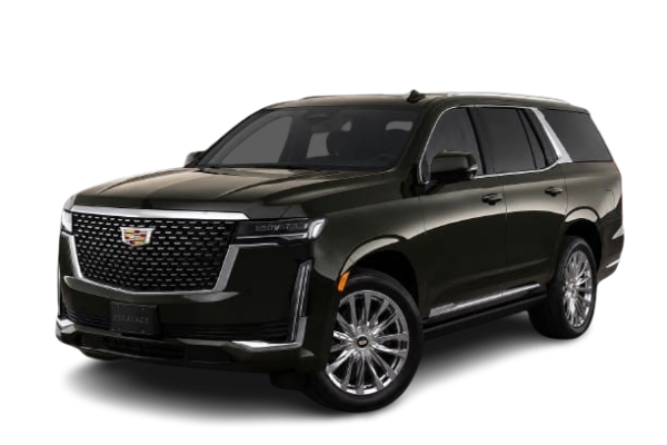 WhatsApp_Image_2026-07-02_at_9.14.06_PM-removebg-preview